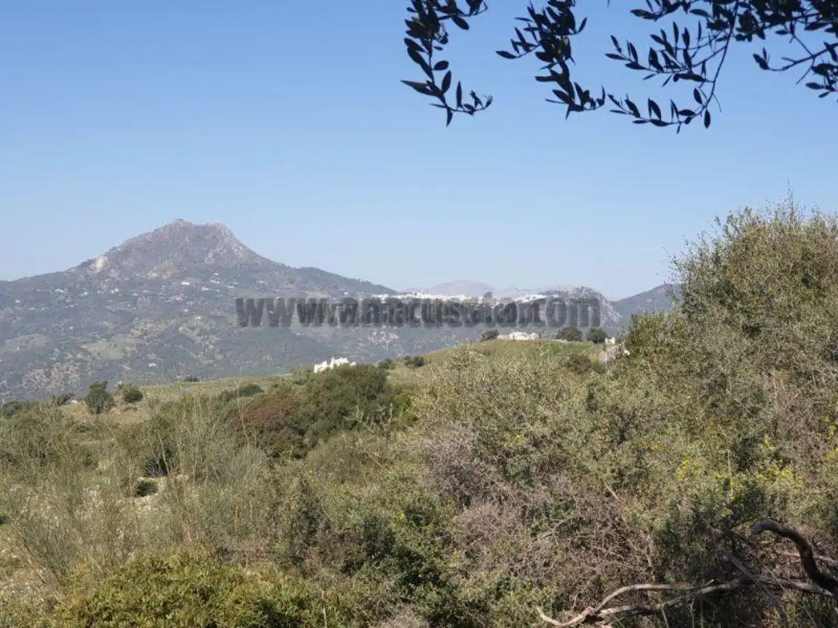 Residencial en venda a Casares, Málaga