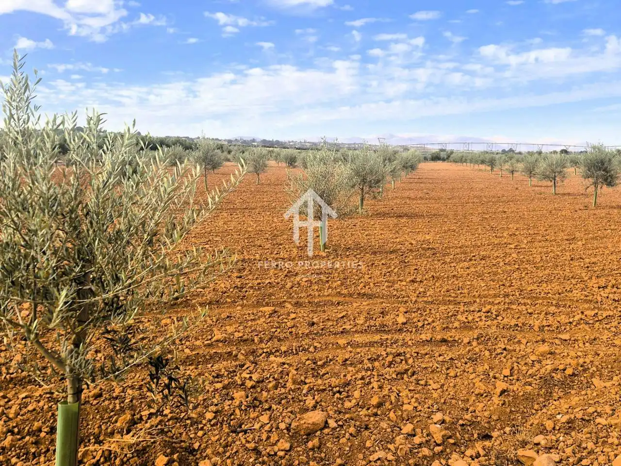 Rural land for sale in Moraleda de Zafayona, imagen 10