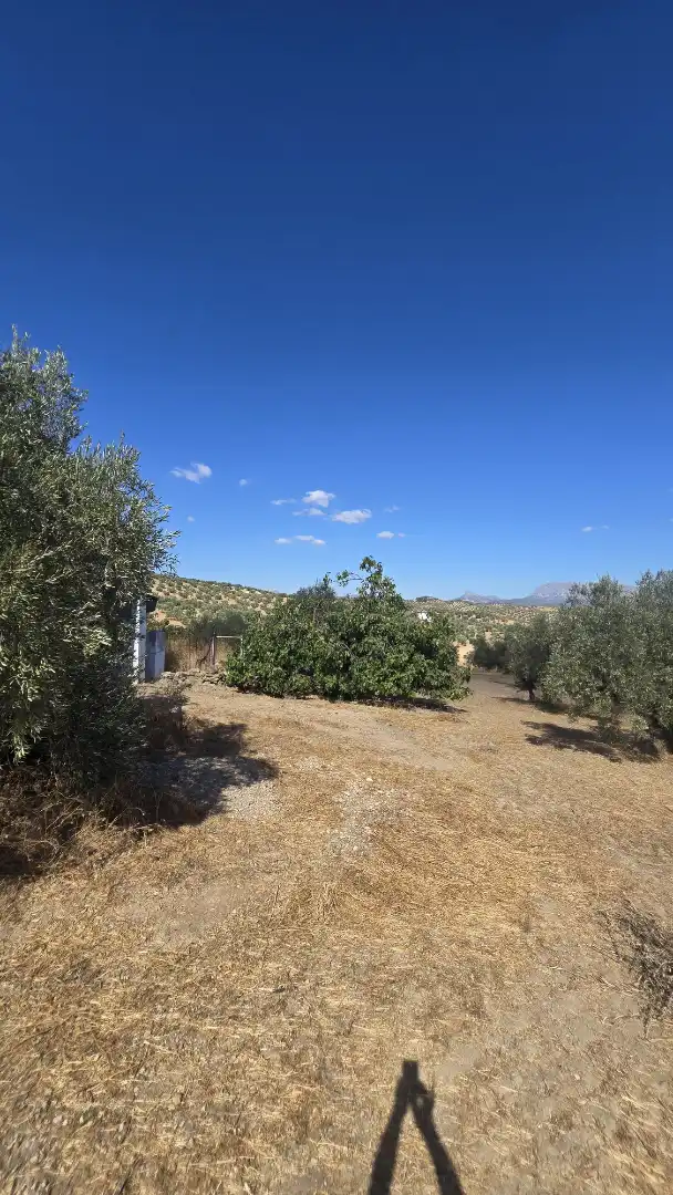 Terrain rustique à vendre à Las Vegas - Campoaras, imagen 7