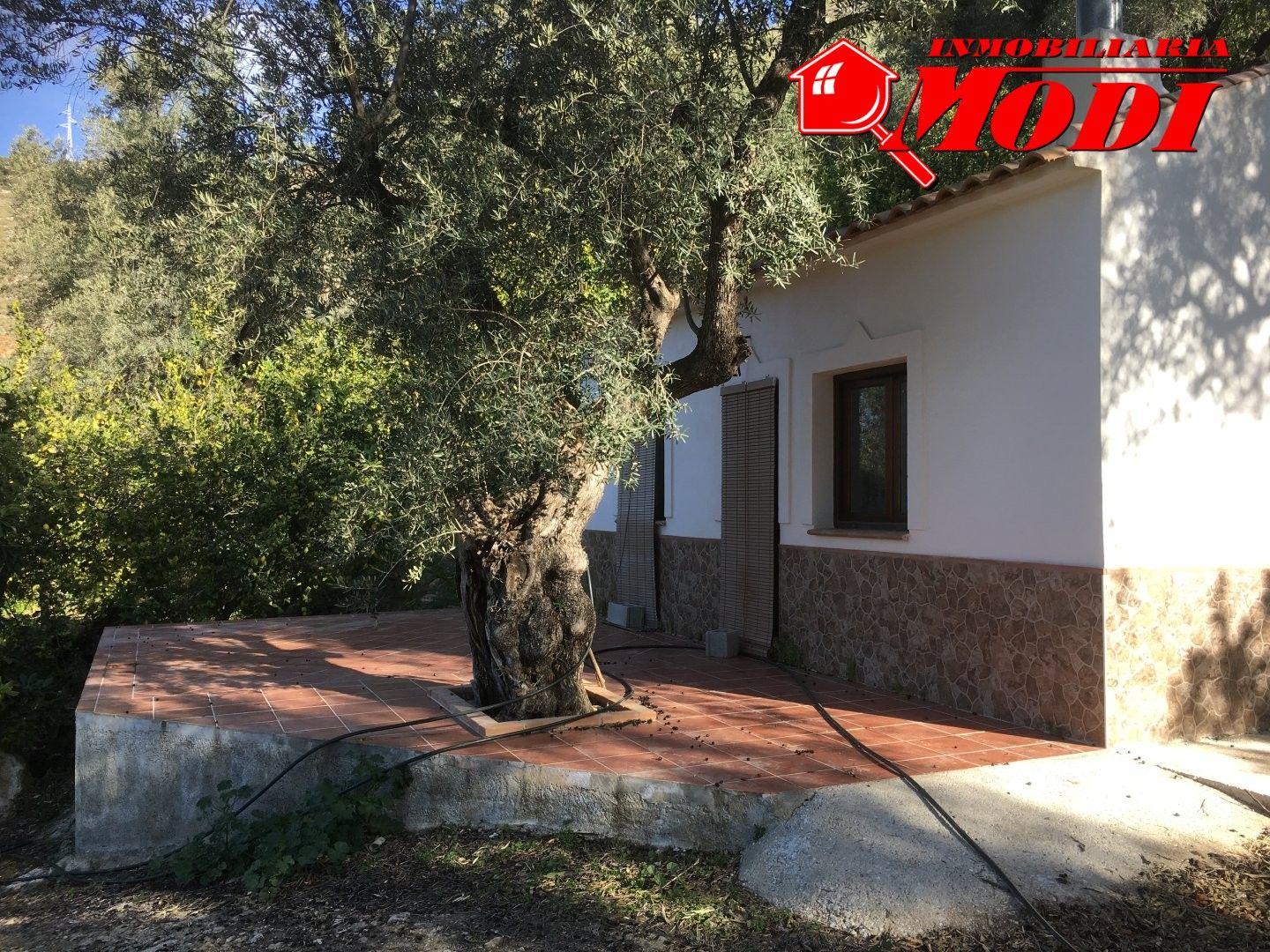 Jardín de Finca rústica en venta en Lecrín