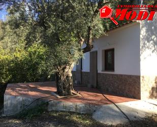 Garden of Country house for sale in Lecrín