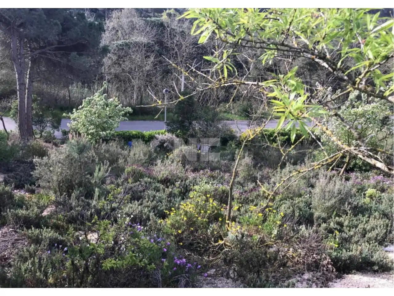 Rural land for sale in Vilanova del Vallès, imagen 13