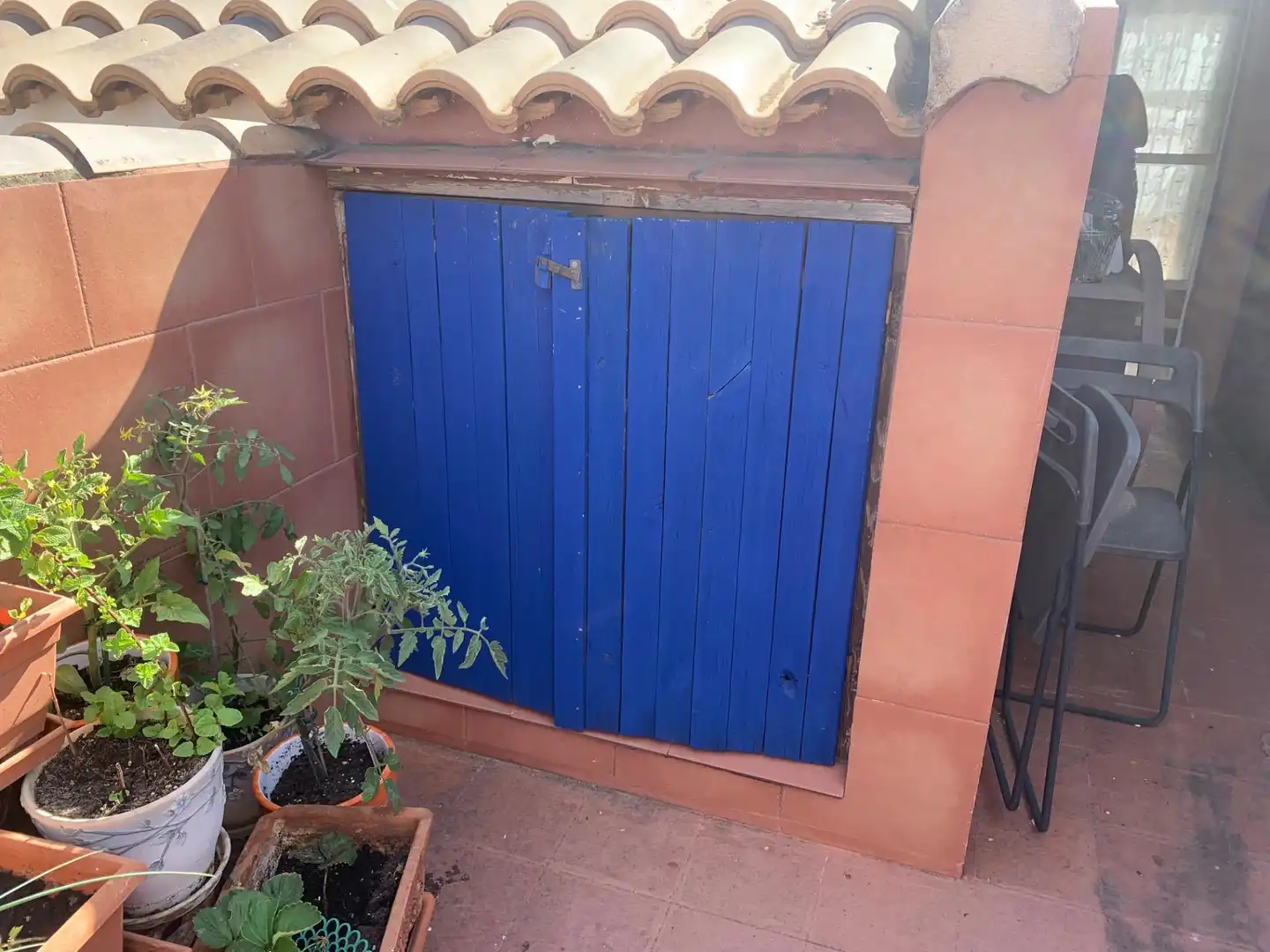 Jardí de Casa o xalet en venda en Murcia amb Aire condicionat, Calefacció i Jardí privat