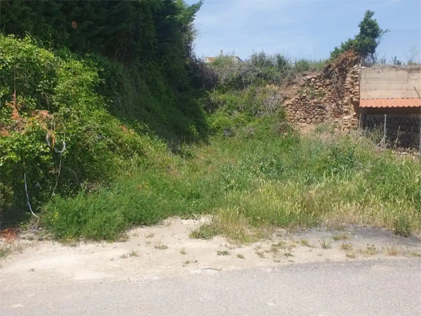 Land for sale in Ocón