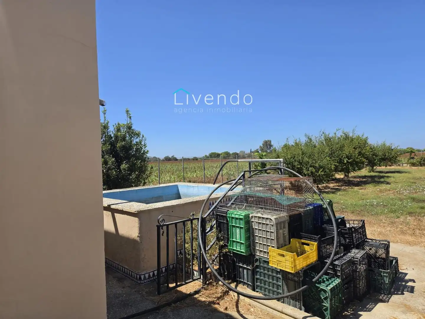 Villa mit Pool zum Verkauf in Pelagatos - Pago del Humo, imagen 4