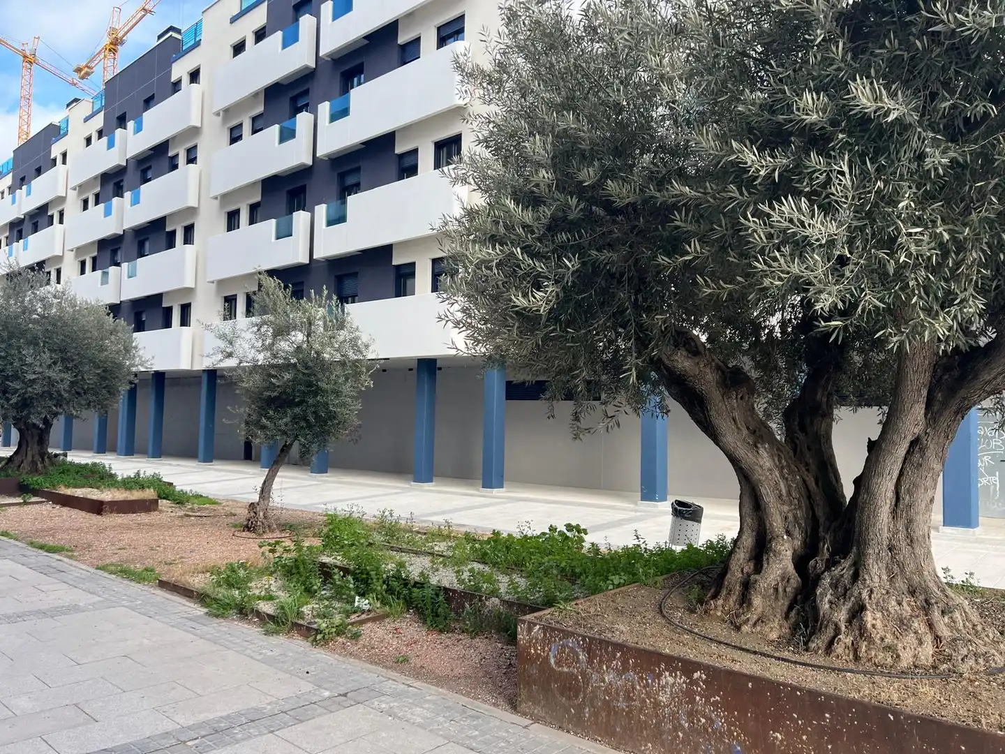 Gewerbefläche zur Miete in Calle de la Estación de Vaciamadrid 5, imagen 5
