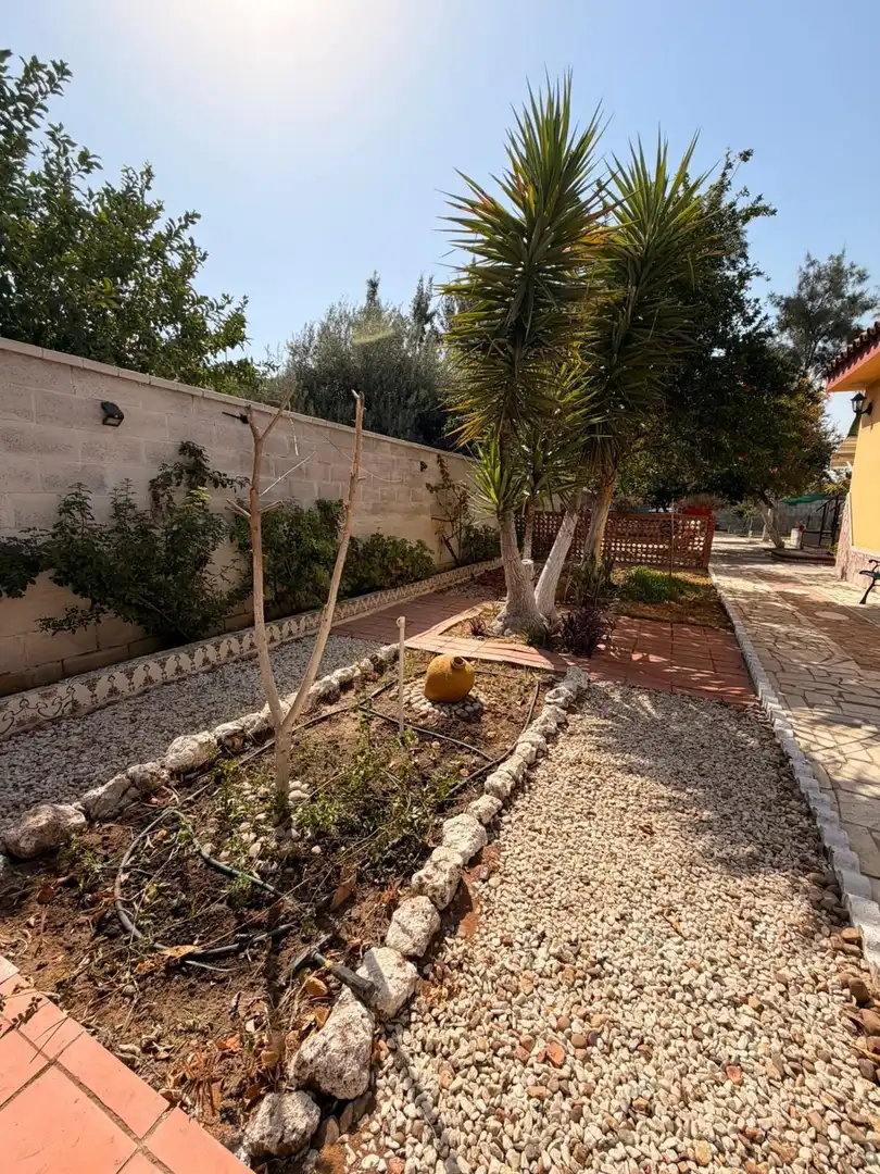 Casa amb piscina en venda a MATALLANA CALLE VIRGEN DEL ROCIO, imagen 25