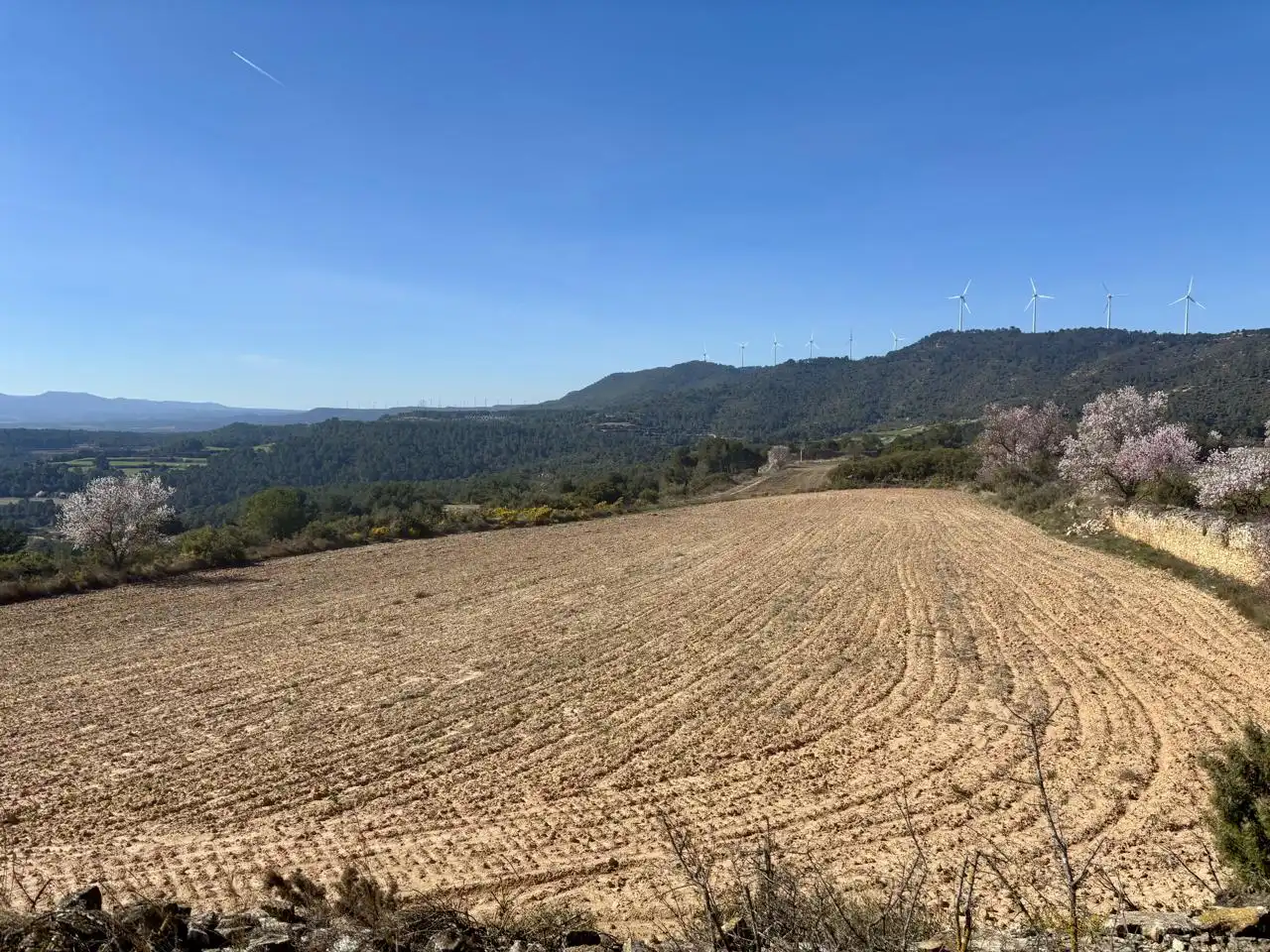 Terreno en venta en Blancafort