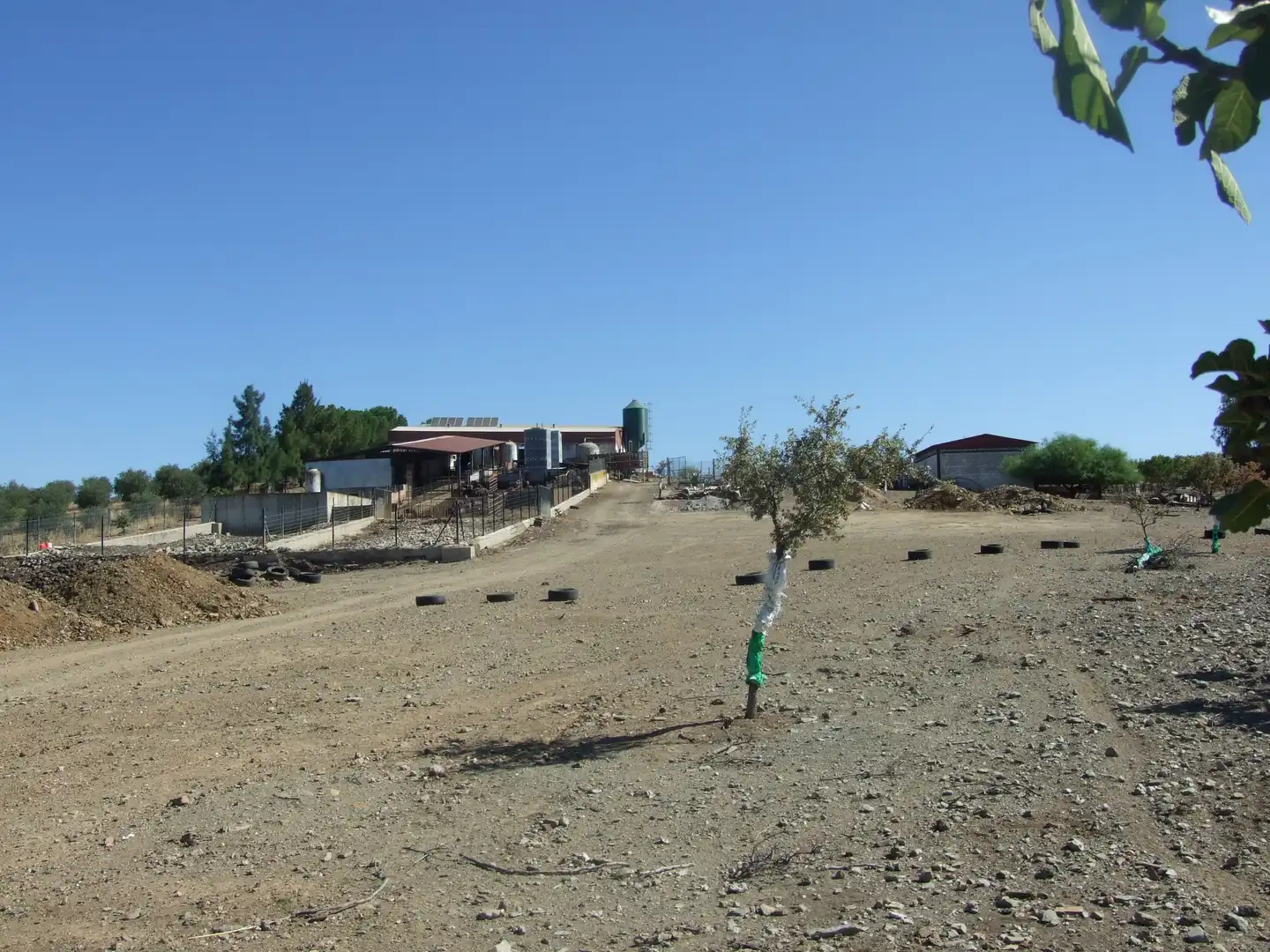 Terreno rustico in vendita a Carretera Fuente del Maestre-Huerta Julián 44, imagen 20