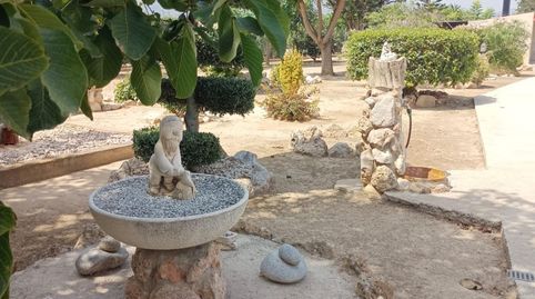 Foto 4 de Finca rústica en venda a Bítem, Tortosa