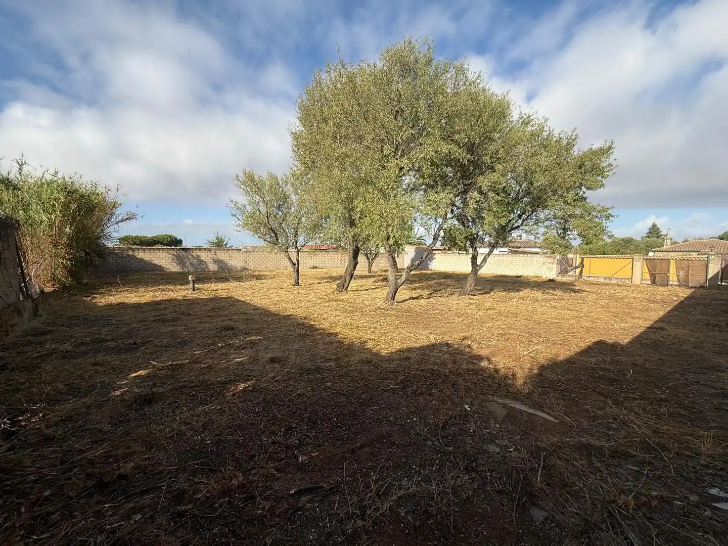 Terrenys i solars en venda a Los Franceses – La Vega, imagen 3