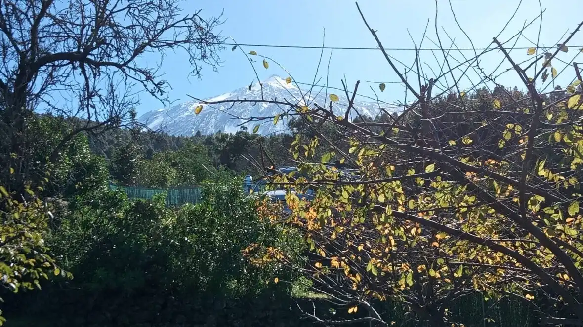 Vista exterior de Finca rústica en venda en Icod de los Vinos amb Terrassa