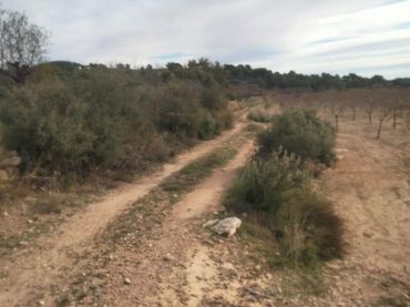 Rural land for sale in Casinos