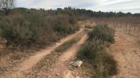 Photo 5 of Land for sale in Casinos, Valencia