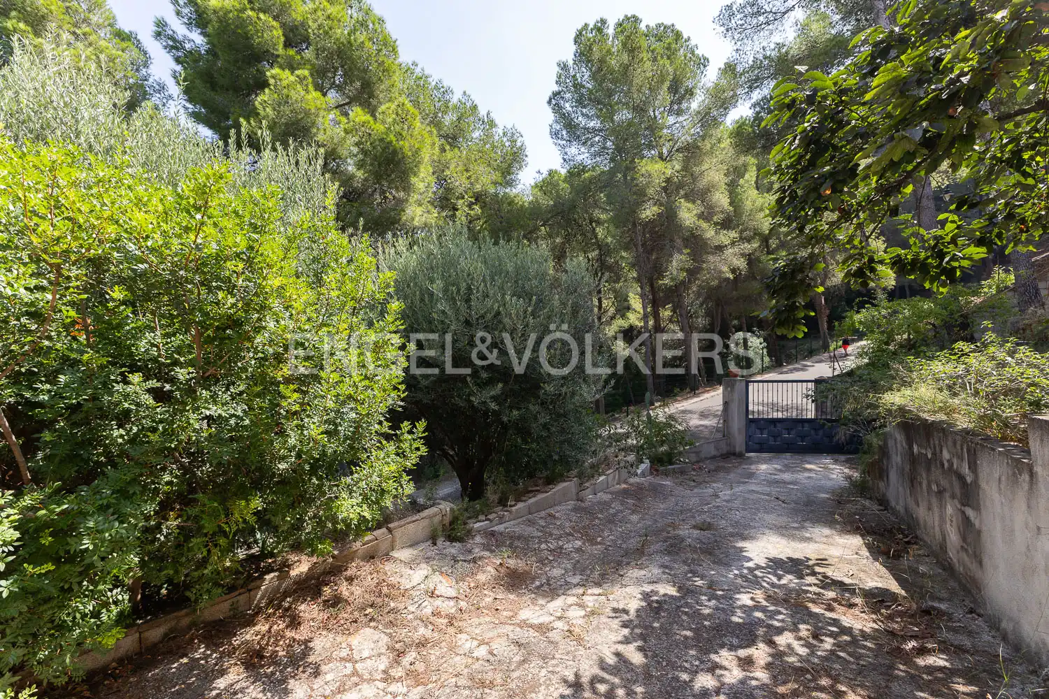 Vista exterior de Casa o chalet en venta en Alzira con Calefacción, Jardín privado y Parquet