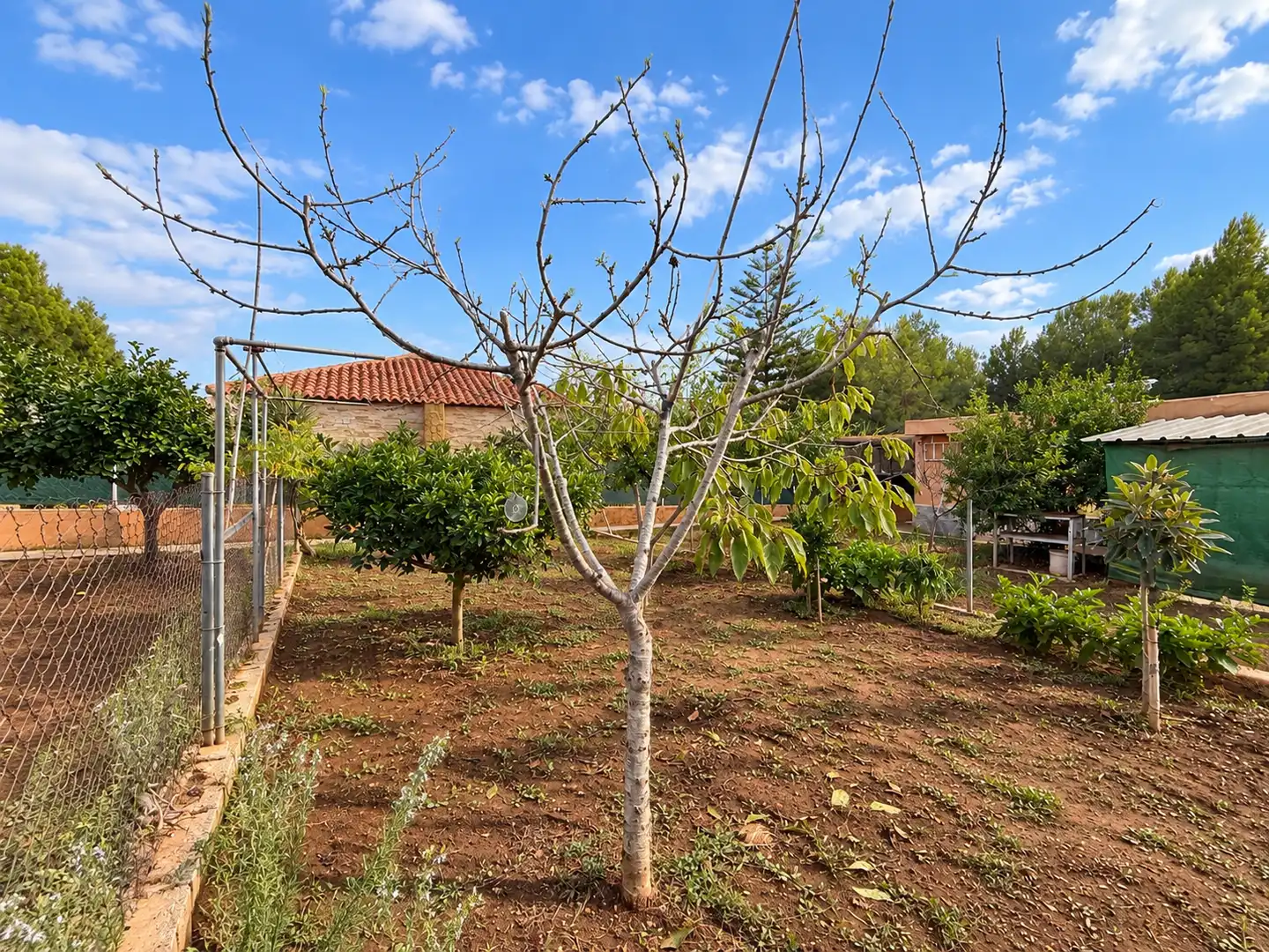 Villa mit Pool zum Verkauf in Vuela de los Pinos 5, imagen 7