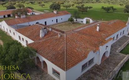 Exterior view of Country house for sale in Salorino