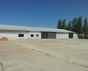 Exterior view of Industrial buildings to rent in La Coronada