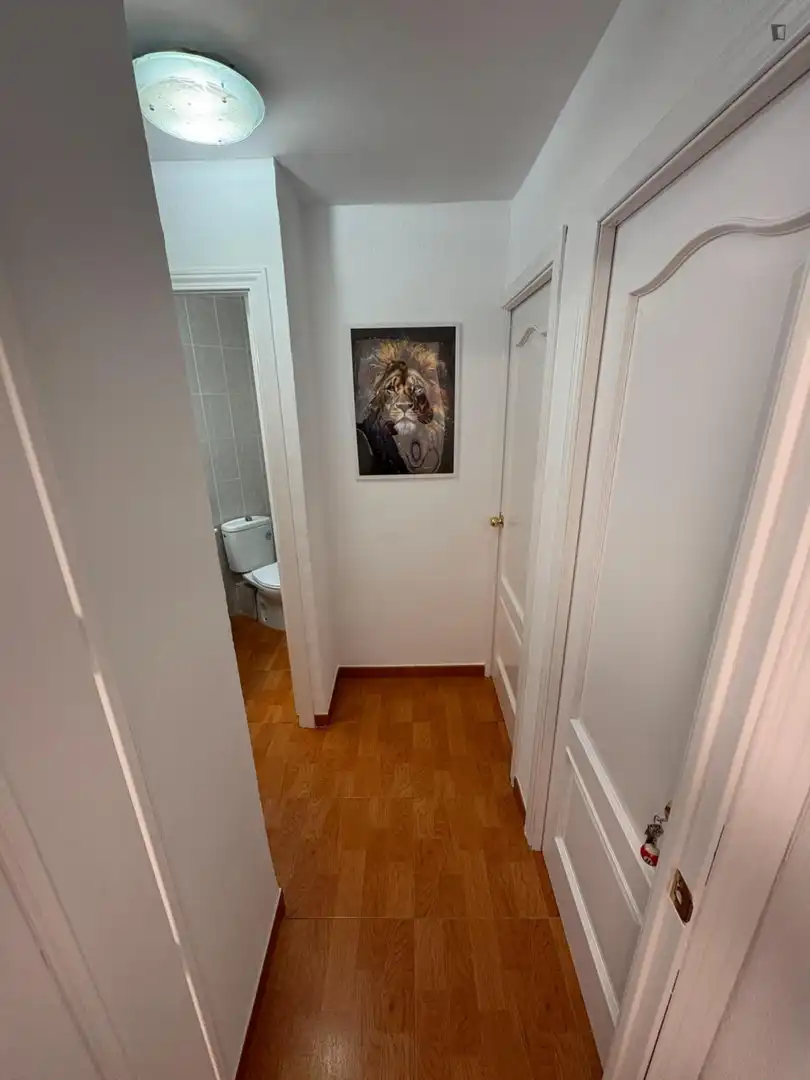 Apartament per a compartir en Levante
