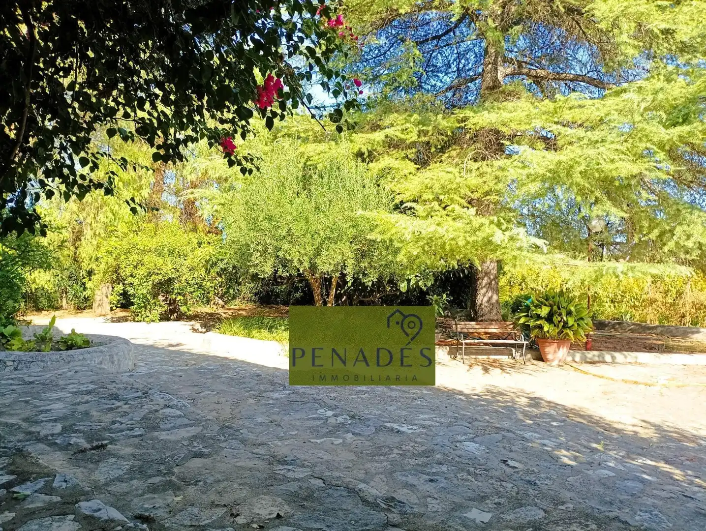 Villa in vendita a Santa Ana, imagen 12