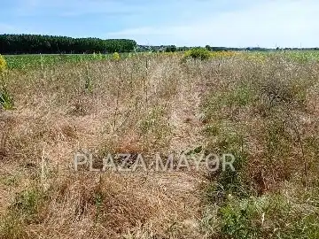 Terreno rustico in vendita a Pelabravo