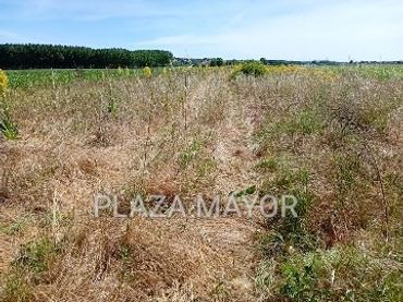 Rustikales Grundstück zum Verkauf in Pelabravo