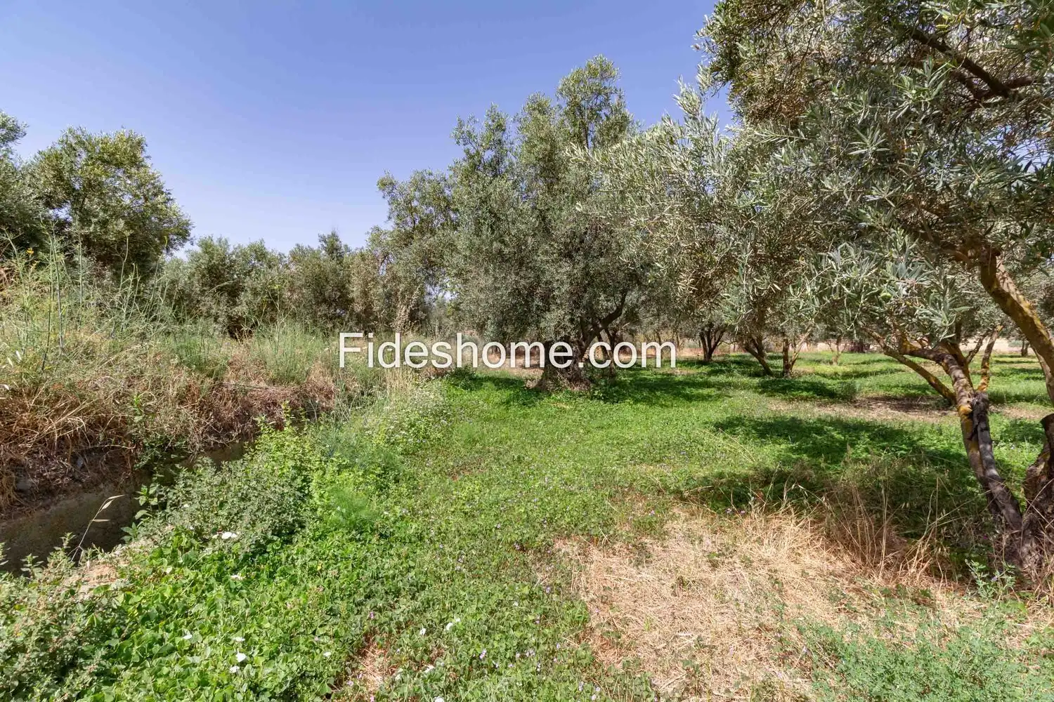 Rural land for sale in XFG2+MG9 Nigüelas 0, imagen 36