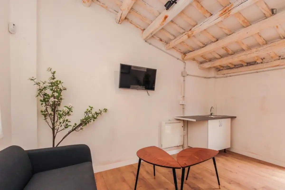 Room in Centre
