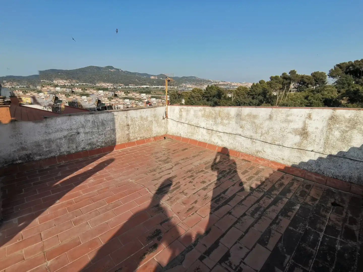 Detached homes for sale in Sant Vicenç Dels Horts