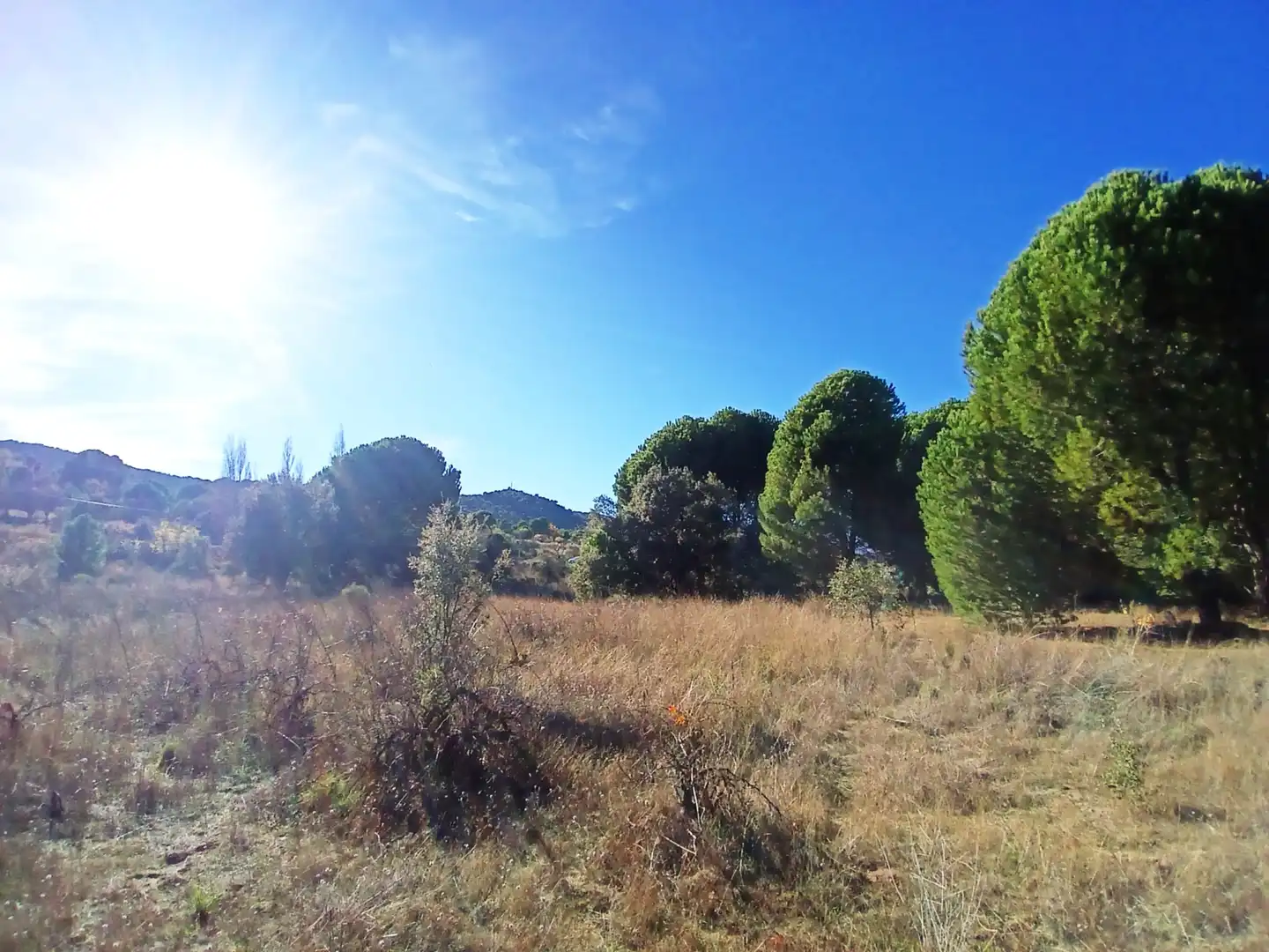 Rural land for sale in M-501, imagen 4