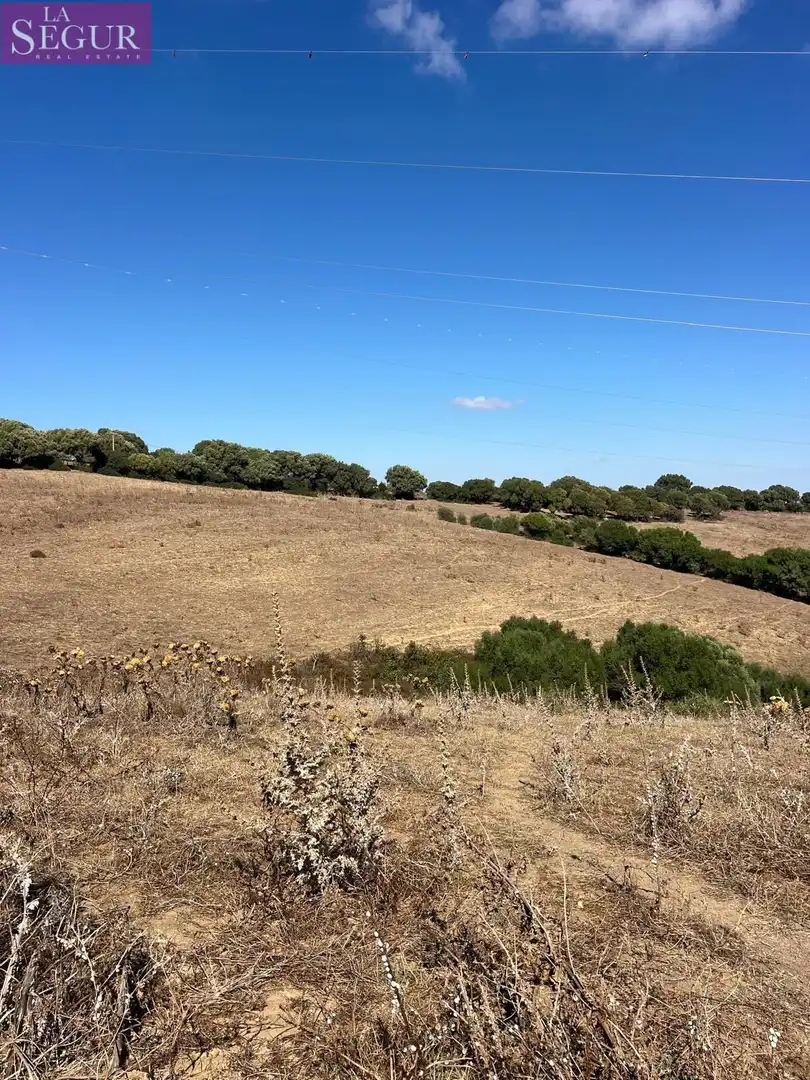 Terreny rústic en venda a Vejer, imagen 7