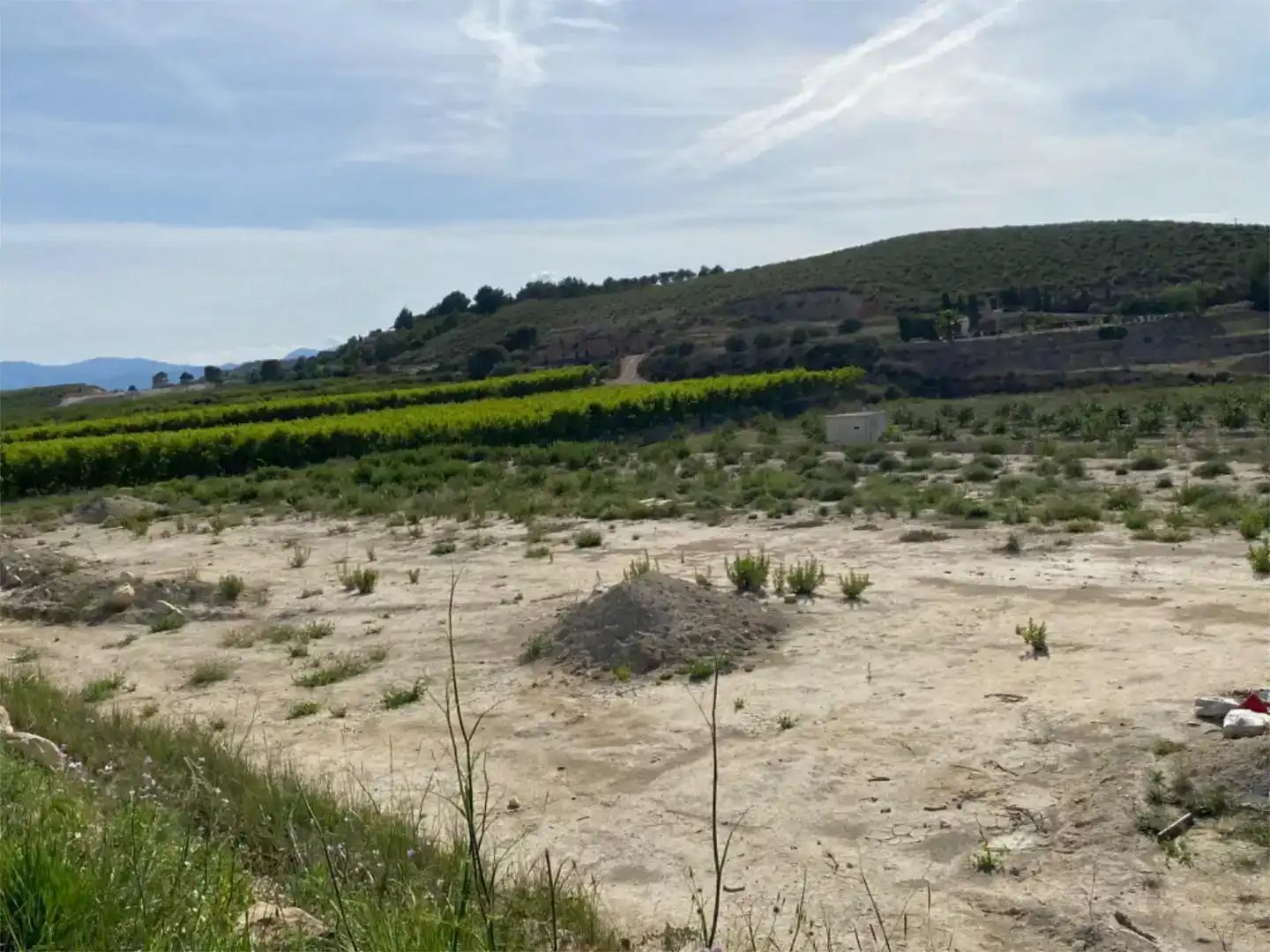 Finca rústica en venda en  Murcia Capital