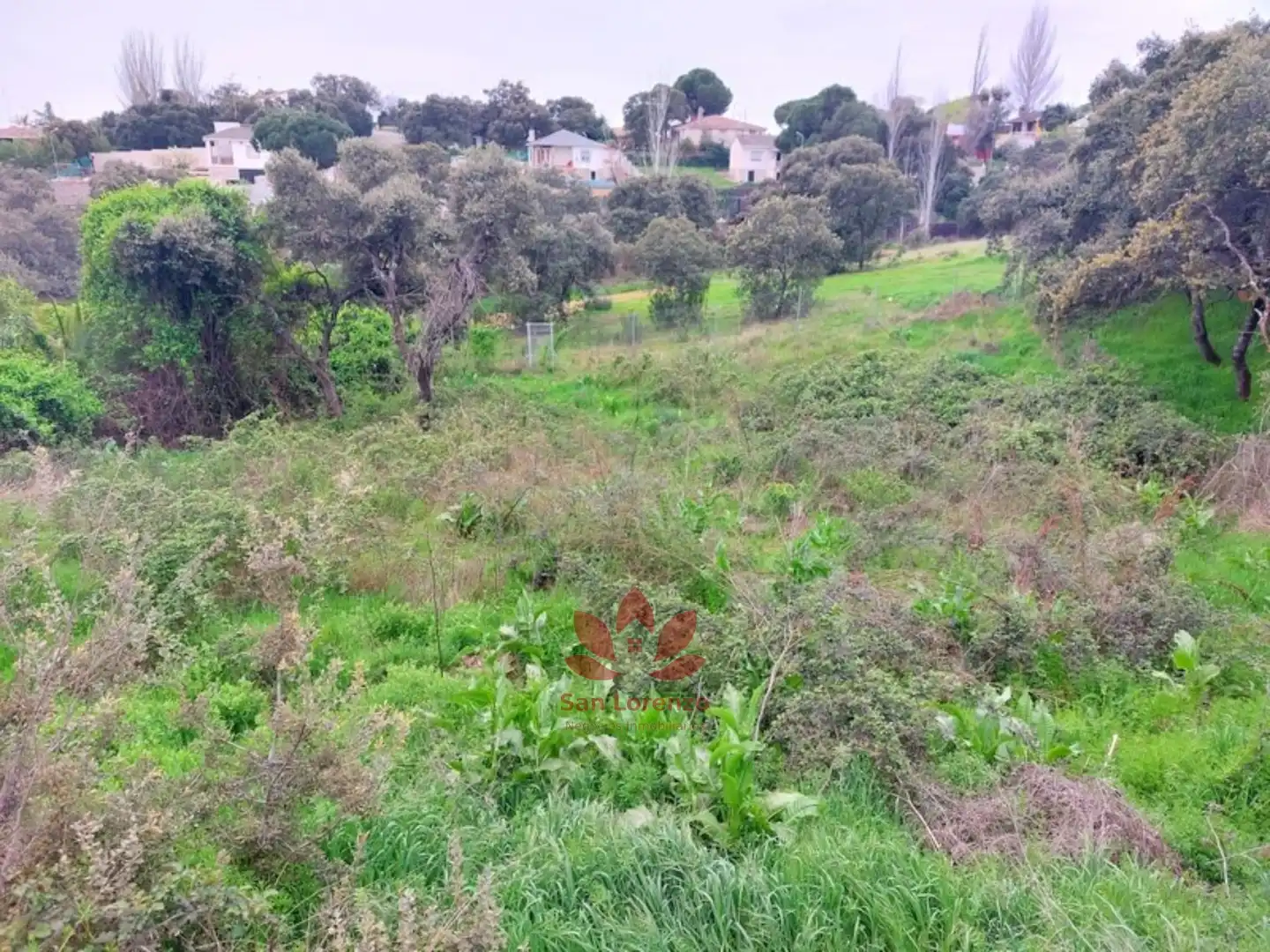 Terreni e lotti in vendita a Villa del Prado, imagen 8