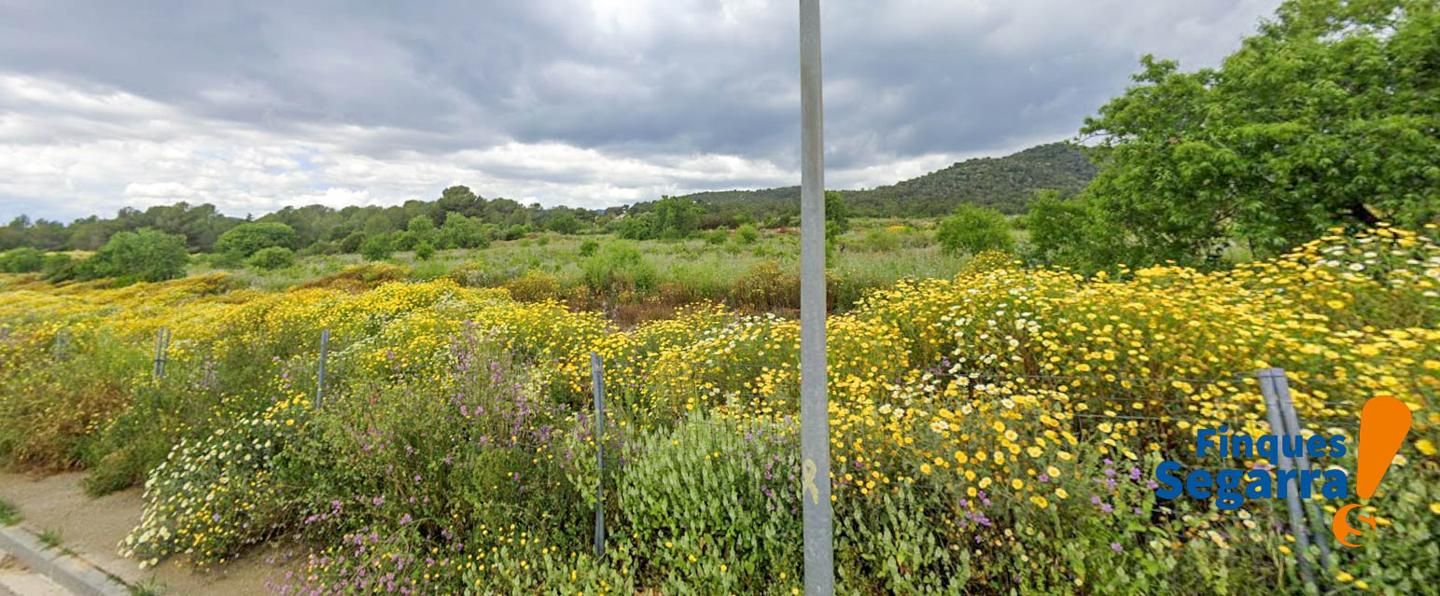 Terreno en venta en Sant Jaume dels Domenys