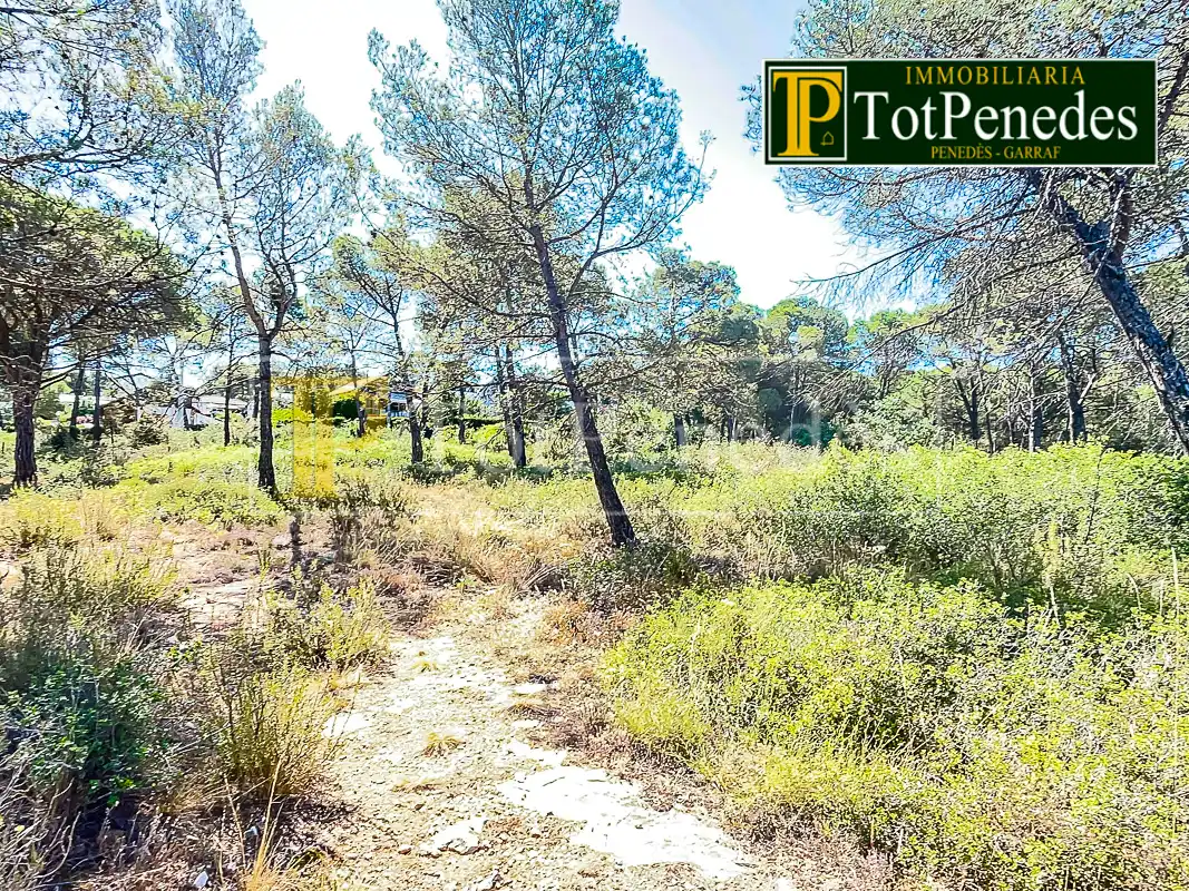 Terreny residencial en venda a Carrer Tarragona, imagen 8