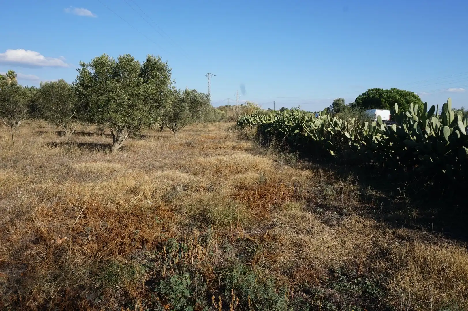 Terrain rustique à vendre à T-310, imagen 70