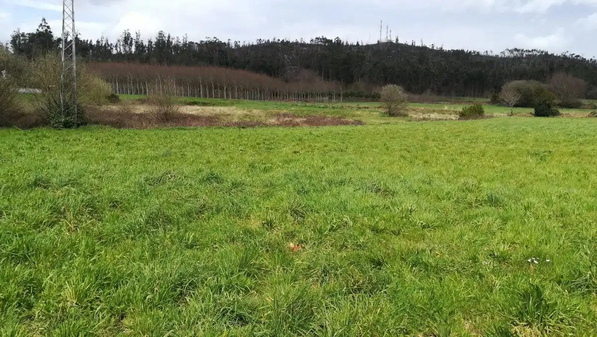 Terreni e lotti in vendita a Área de Ames, imagen 2