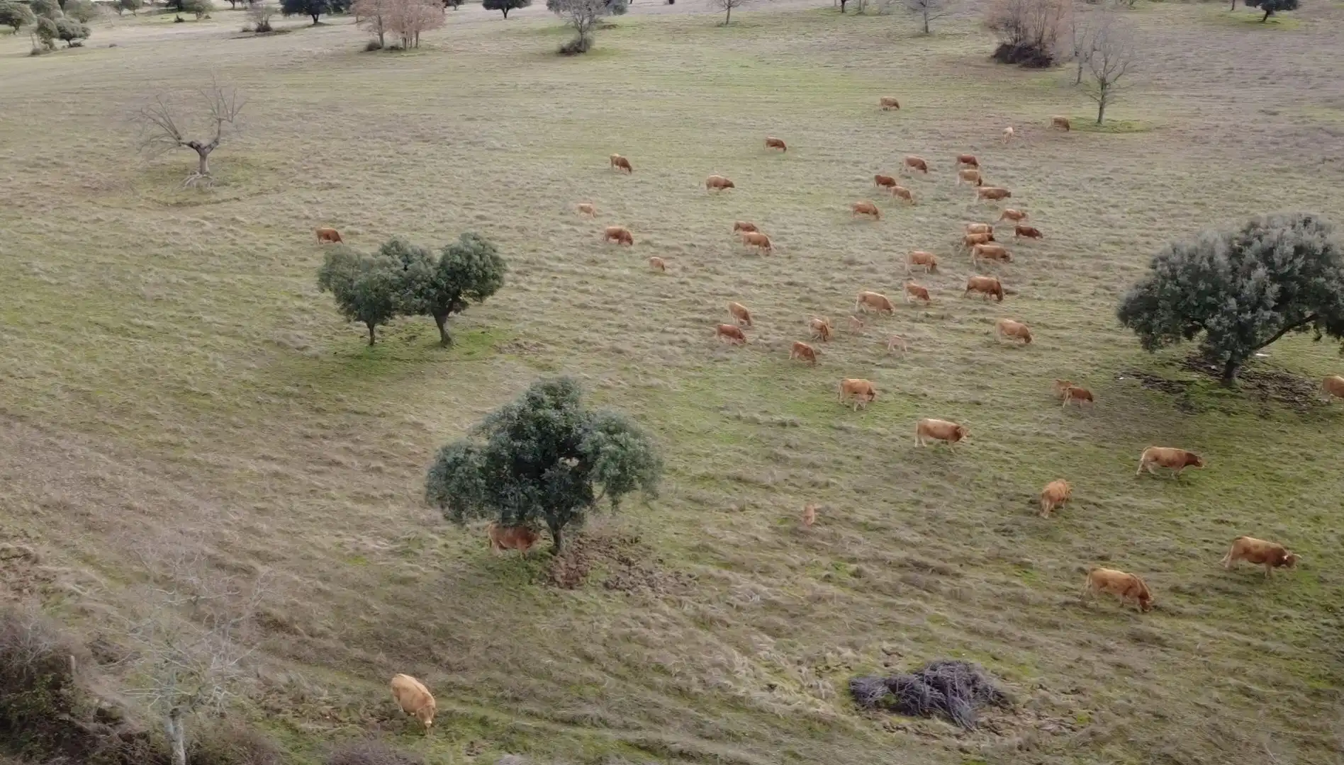 Vista exterior de Terreno en venta en El Manzano , Salamanca