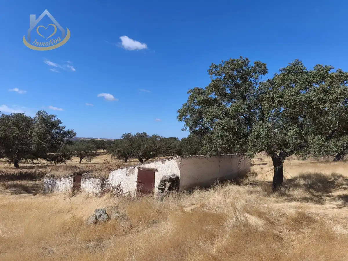 Terreni e lotti in vendita a Puebla de Guzmán, imagen 102
