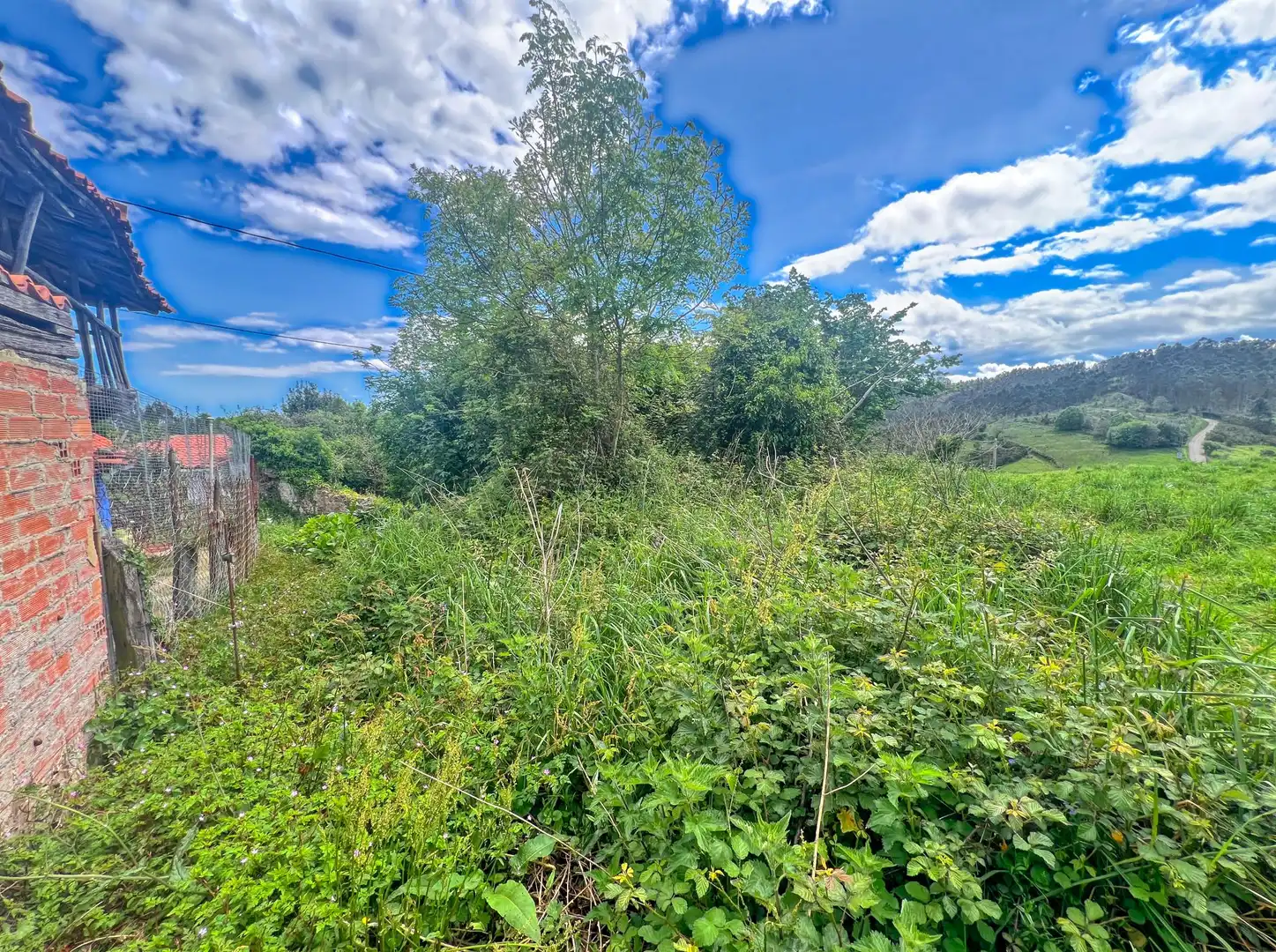 Lands and plots for sale in Pillarno, imagen 14