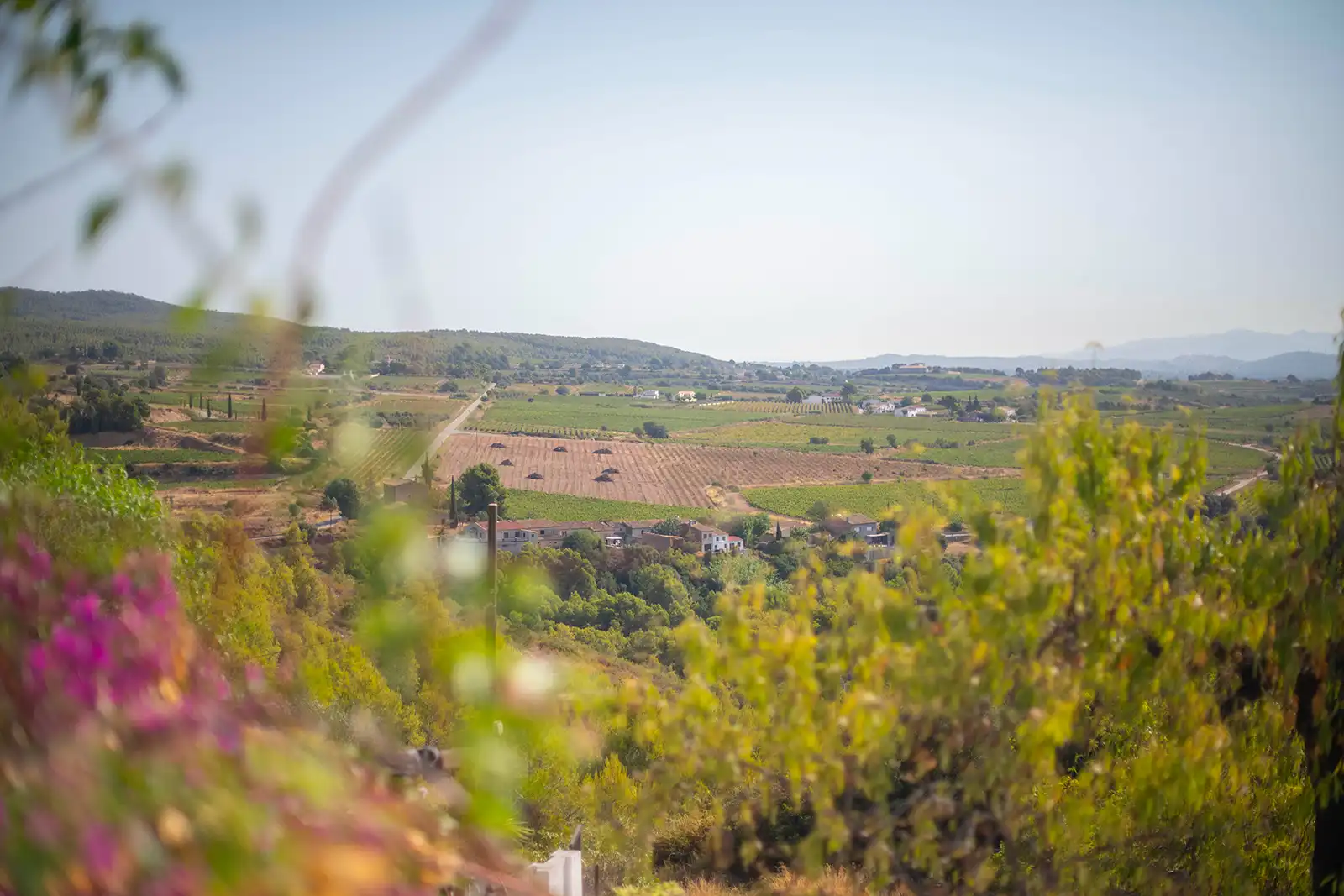 Casa o xalet en venda en Castellví de la Marca amb Jardí privat i Terrassa