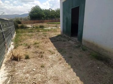 Terreno industriale in vendita a Calle Junquillo