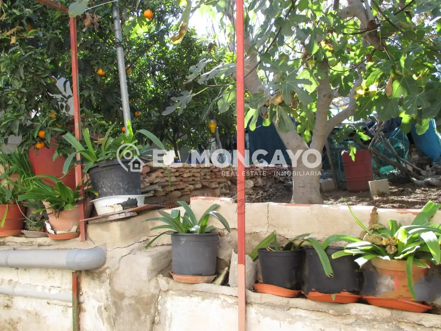 Jardín de Casa o chalet en venta en Rojales con Jardín privado, Terraza y Trastero
