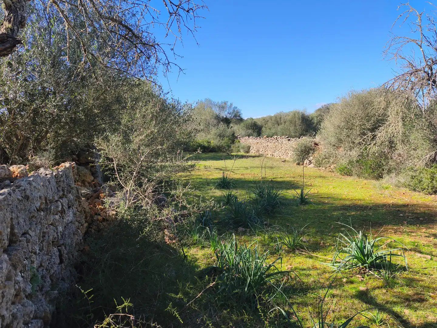 Terreno residencial en venta en Carrer Ruberts 24, imagen 8