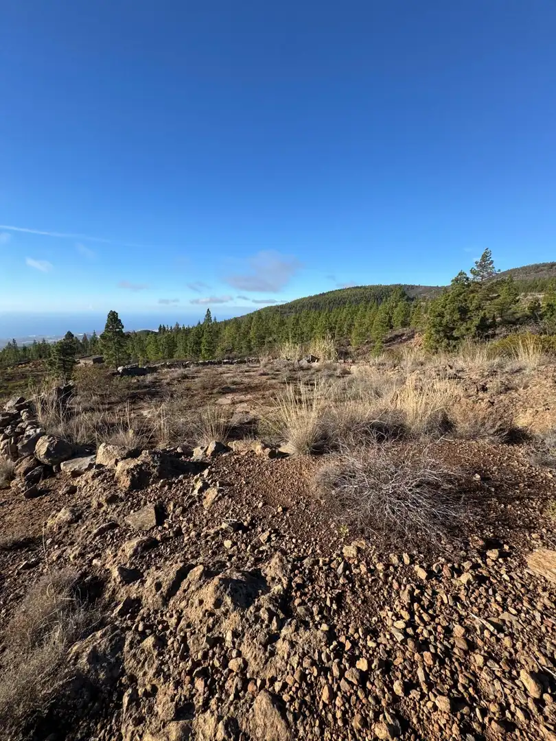 Finca rústica en venta en Granadilla de Abona