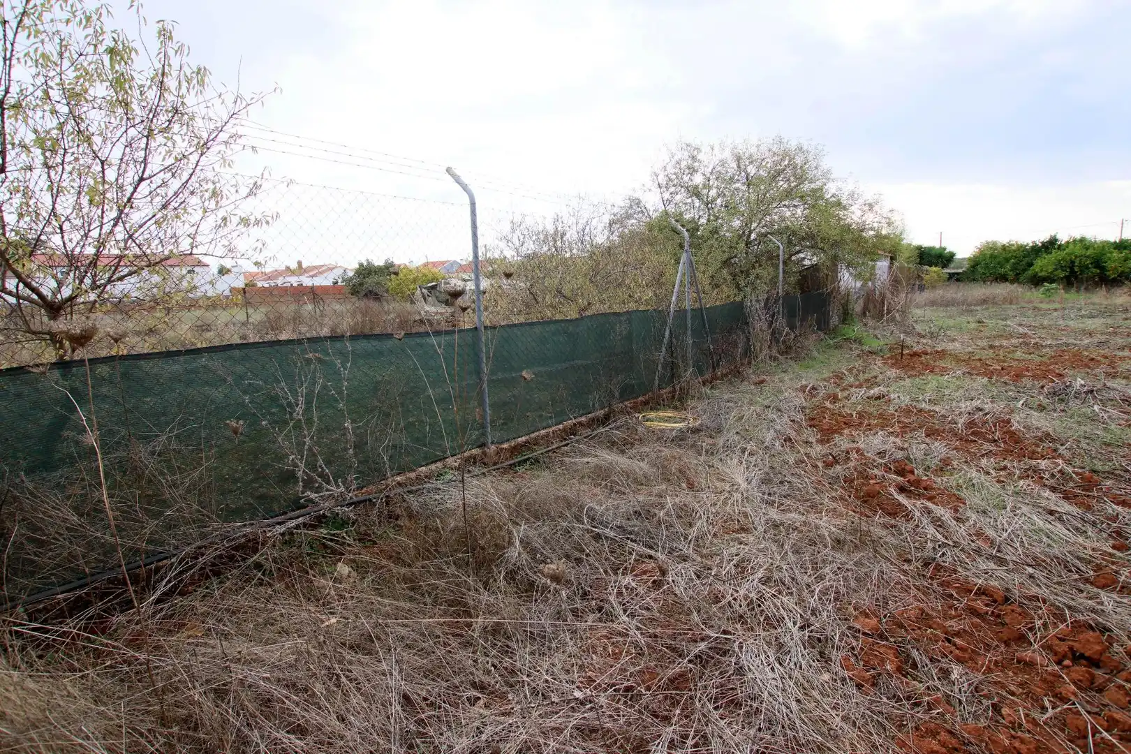 Terreni e lotti in vendita a Montijo, imagen 9