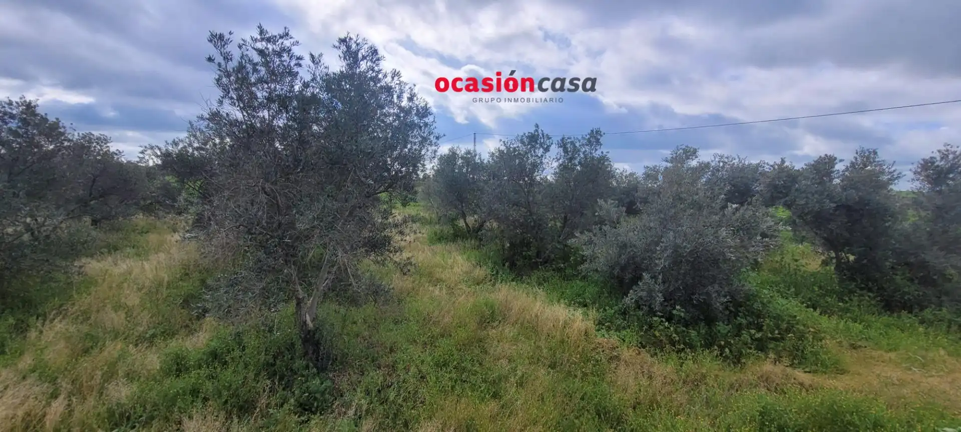 Houses for sale in El Viso