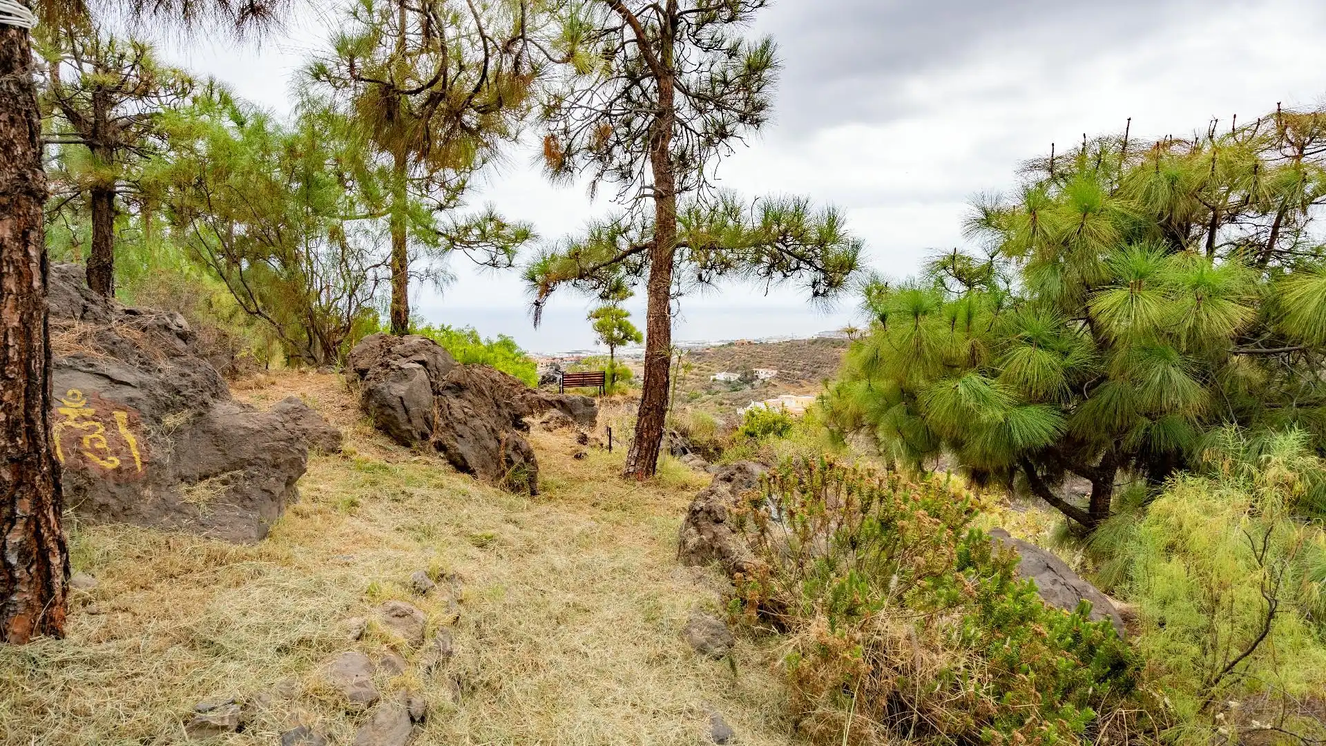 Buildings for sale in Candelaria