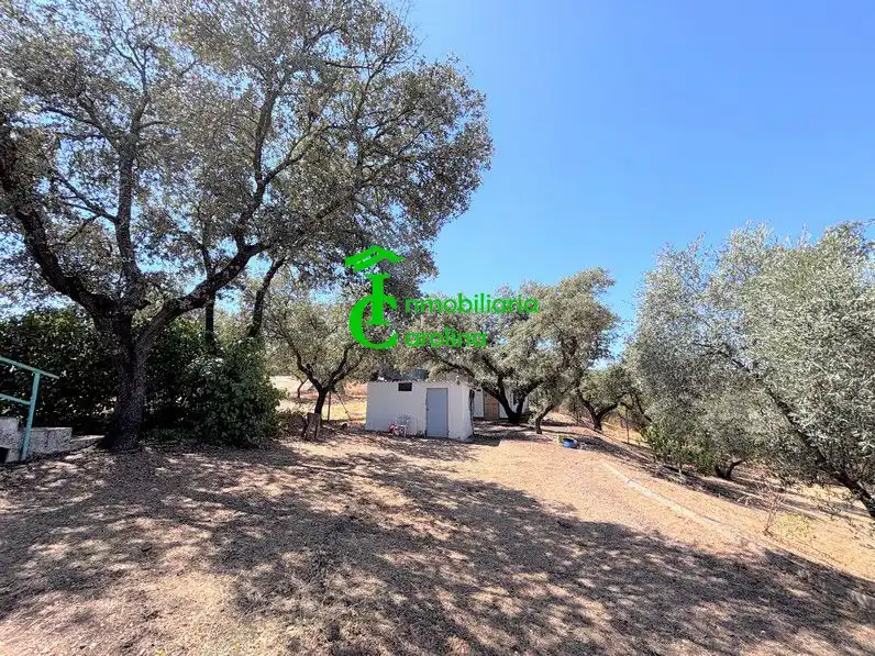 Finca rústica en venda en Santa Elena amb Terrassa