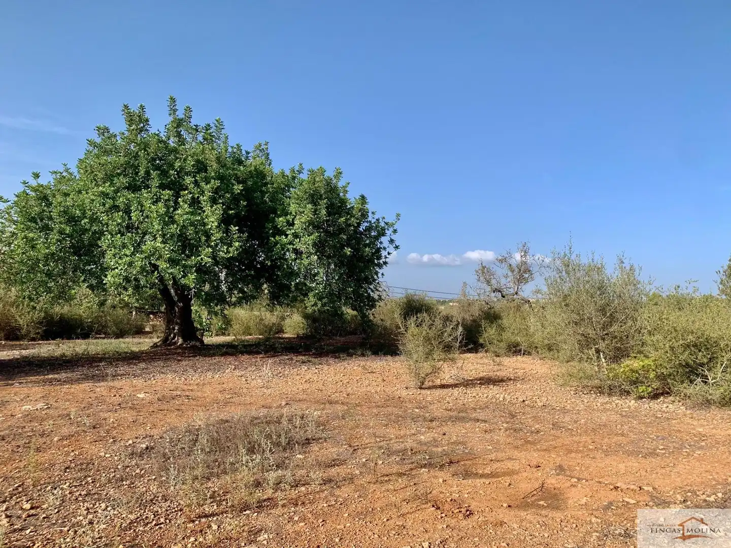 Terreni e lotti in vendita a Mugardos, imagen 12